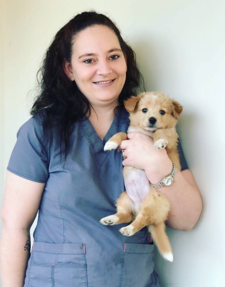 Our Team Monticello Vet Monticello Animal Clinic