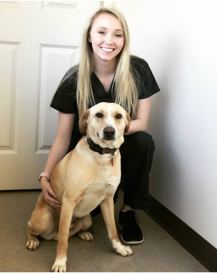 Our Team Monticello Vet Monticello Animal Clinic